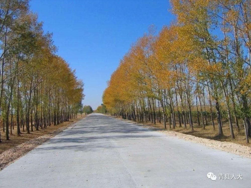 新兴县各镇人口_新兴县惠能中学图片(3)