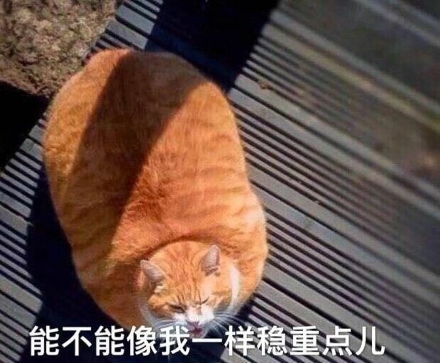 猫猫系列·表情包:能不能像我一样稳重点儿