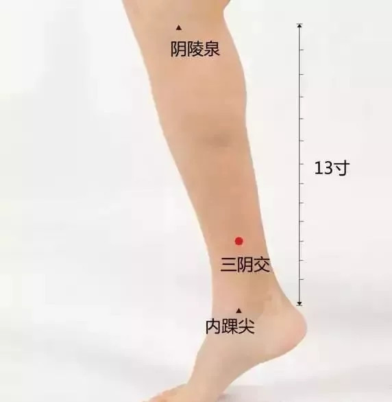 阴陵泉穴是一个祛湿的大穴,人体湿气大就容易滋生细菌,出现水肿,湿疹