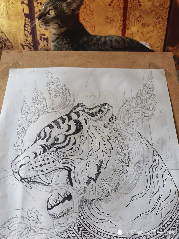 美术生想画老虎,但是找不到模特,看到家里的猫后灵机一动