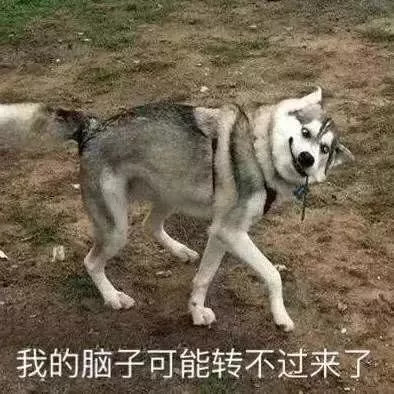 非让现实给你一巴掌,你才知道现实有多残忍.