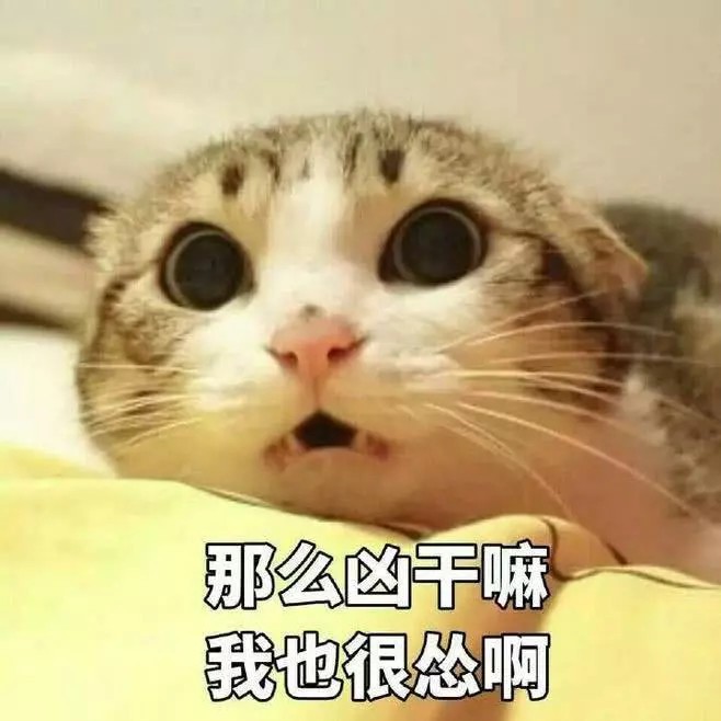 表情包:我真想用我的小舌头,堵住你的猫嘴