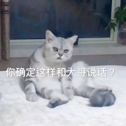 表情包:没人疼没人爱,我是地里的小白菜