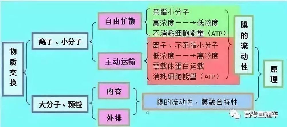 高考全学科知识结构思维导图