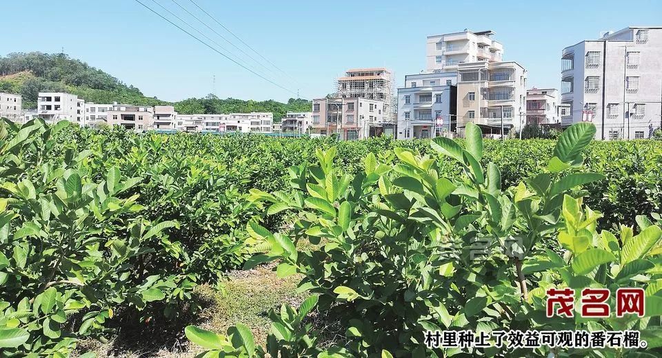 旺垌村人口_玉林鹏垌村古村落图片(3)
