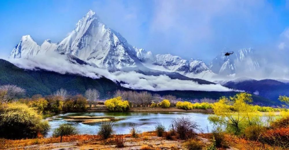 川藏线,西藏,南迦巴瓦峰,雪山,杜鹃花