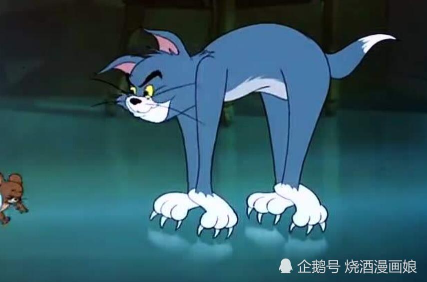动漫,火影,海贼王,猫和老鼠,篮球