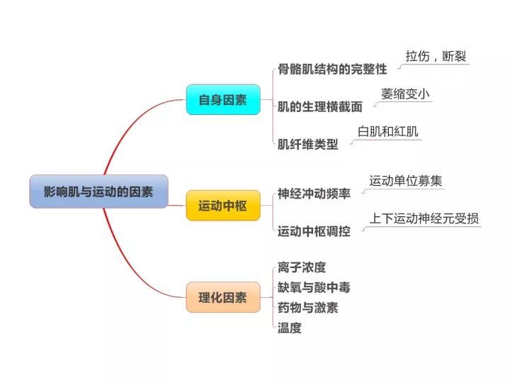 康复基础知识思维导图