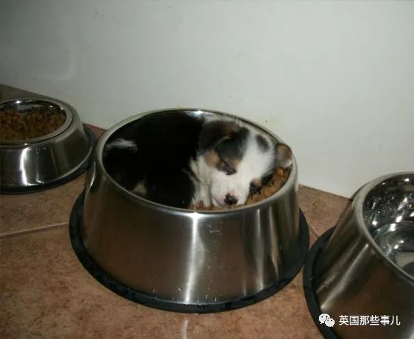 葡京娱乐网上娱乐 13