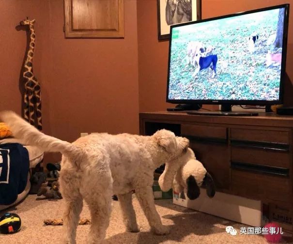 葡京娱乐网上娱乐 18