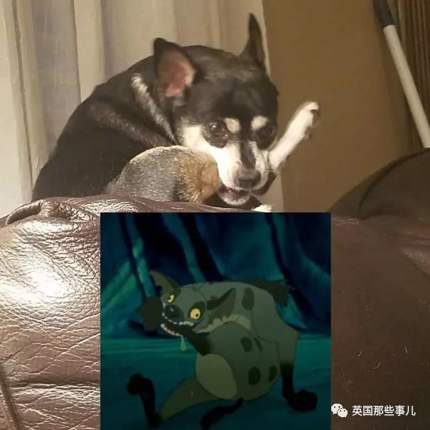 葡京娱乐网上娱乐 24
