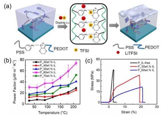 南科大本科生接连以第一作者在国际知名