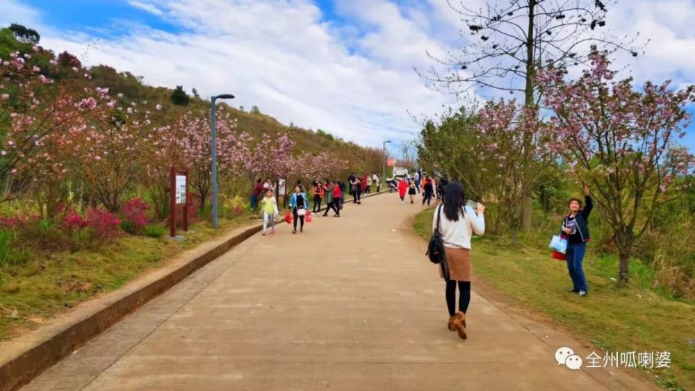 广西全州县各乡镇人口_广西全州县毛竹山