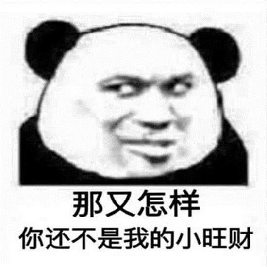 熊猫头怼人表情包:雾散了,云飘了,你又开始叫嚣了