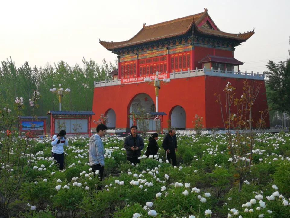 沙河:牡丹盛开的千年古村