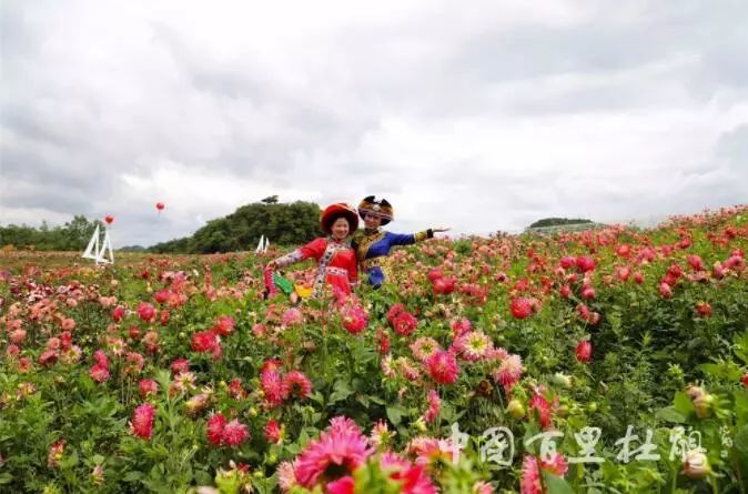 送票!百里杜鹃 彝山花谷门票免费送,清明小长假走起!