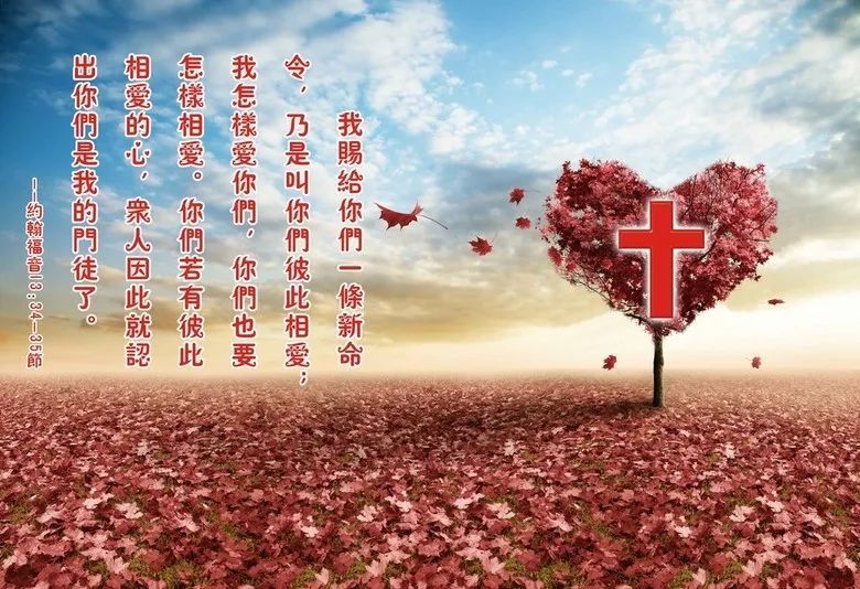 你们若有彼此相爱的心,众人因此就认出你们是我的门徒了.