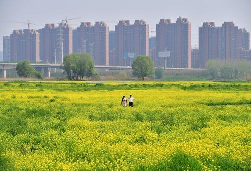 清明假期最高气温29 晴朗武汉"一夜入夏"