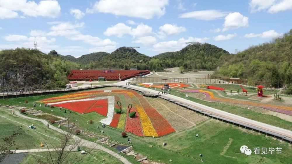 百里杜鹃景区11时起停止售票!彝山花谷花已开,去这里!