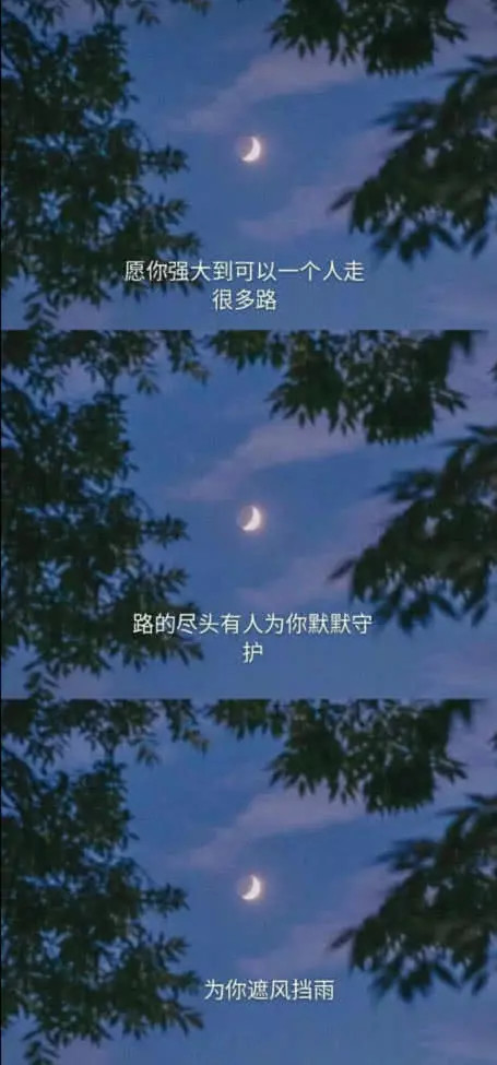 "不等了"壁纸:我不等了,就当风没吹过,你没来过,我没爱过