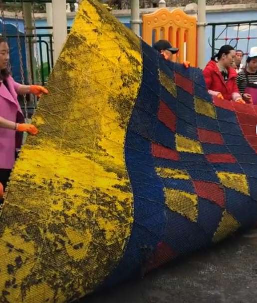 幼儿园大扫除,幼师抱怨太辛苦,家长:交那么多钱