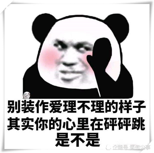 00后表白表情包:春眠不觉晓,处处对象可好,撩妹姿势一定帅