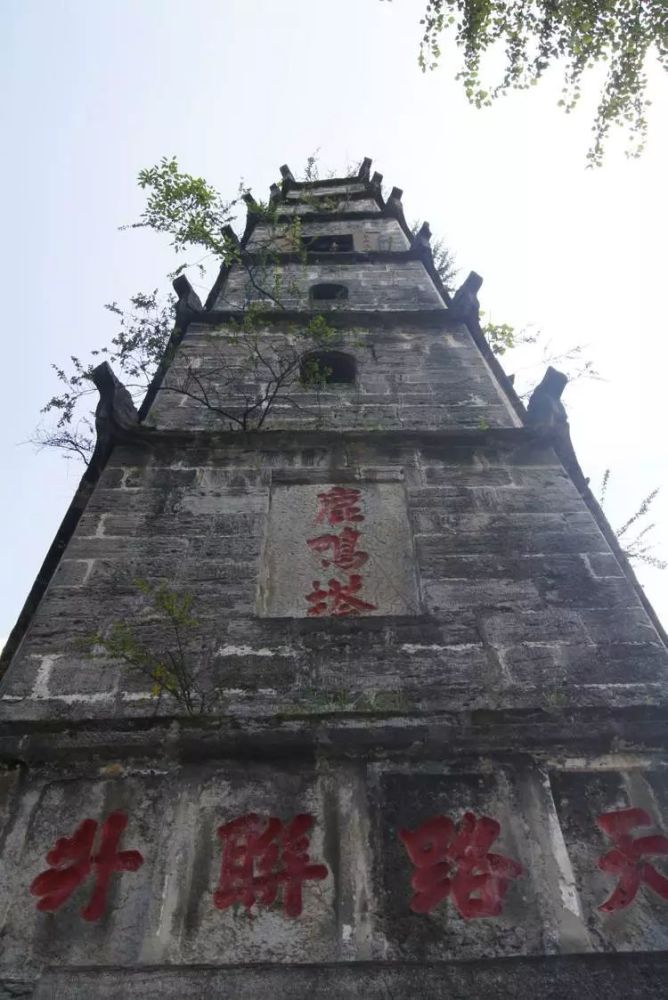 仁怀各乡镇,街道评选出20个美女,快来看看你最中意谁?