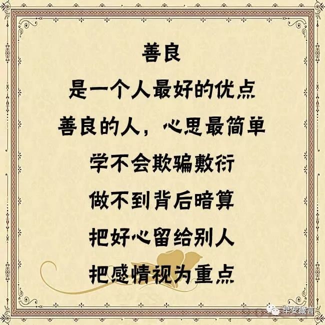 别把善良,给错了人