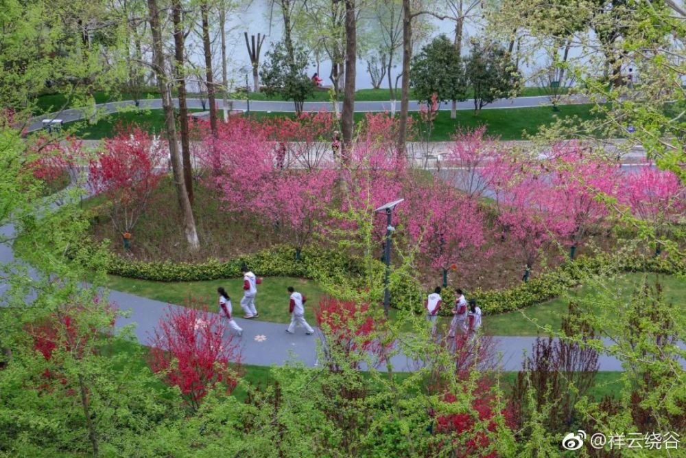 4月南京赏花地图,美美美!