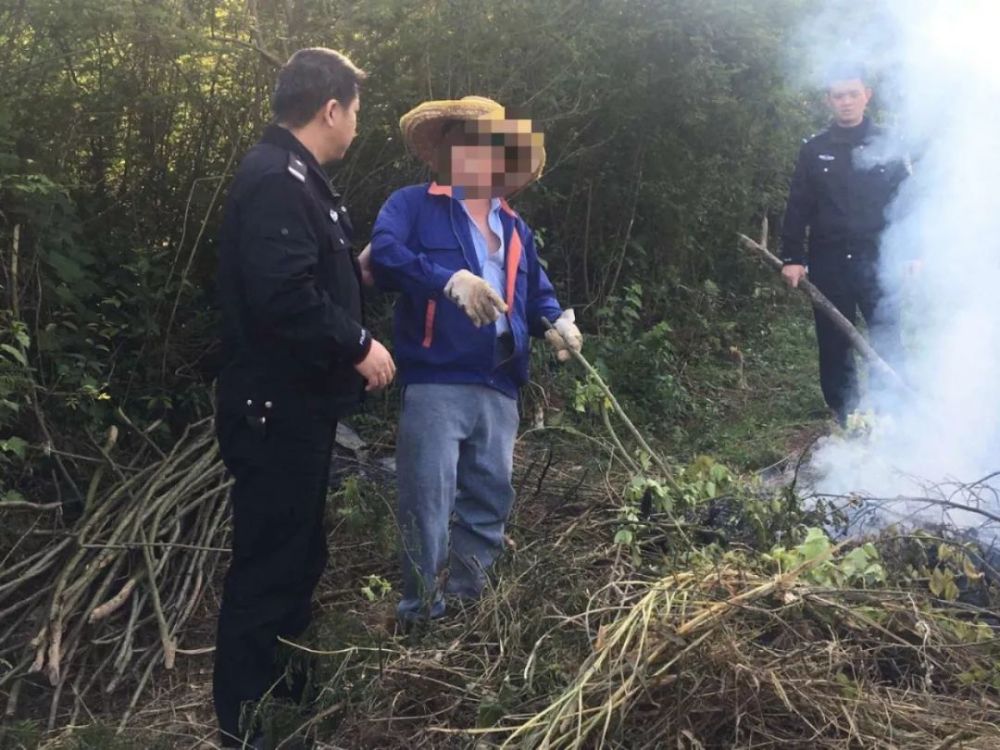 人口倍增县城_人口普查图片(3)