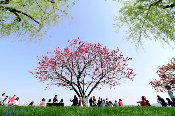 杭州人口热度地图_杭州人口地图