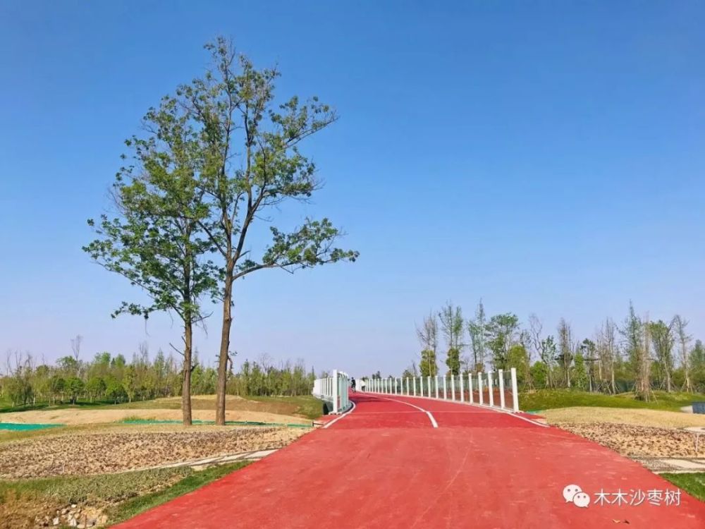 成都中和湿地公园,花开草绿,蓝天白云,重要的是人还少