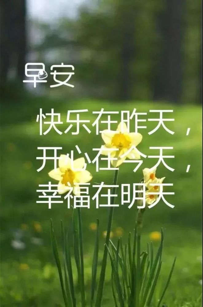 新的一天,新的开始!