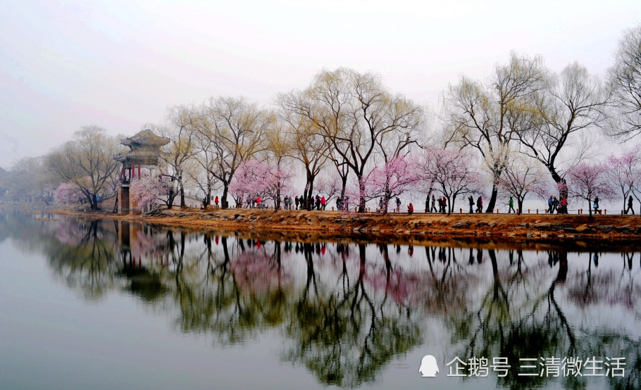 1,当春分时的春雨遇上了西堤的桃花开,这颐和园的西堤便美成了一棵