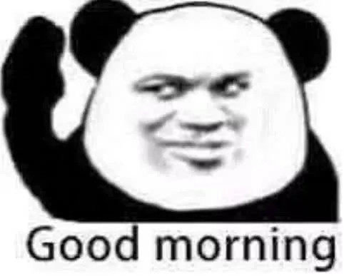 所以不如跟熊猫头一起来学习英语吧,good morning