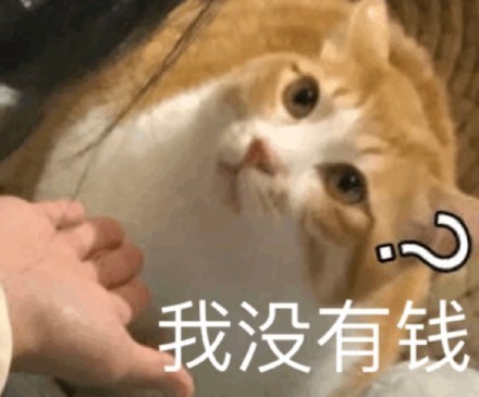 可耐猫咪表情包:我能没有钱吗,你太小瞧我了!