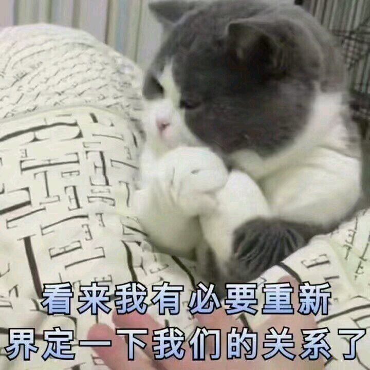 搞笑的表情包:扎起我的双马尾