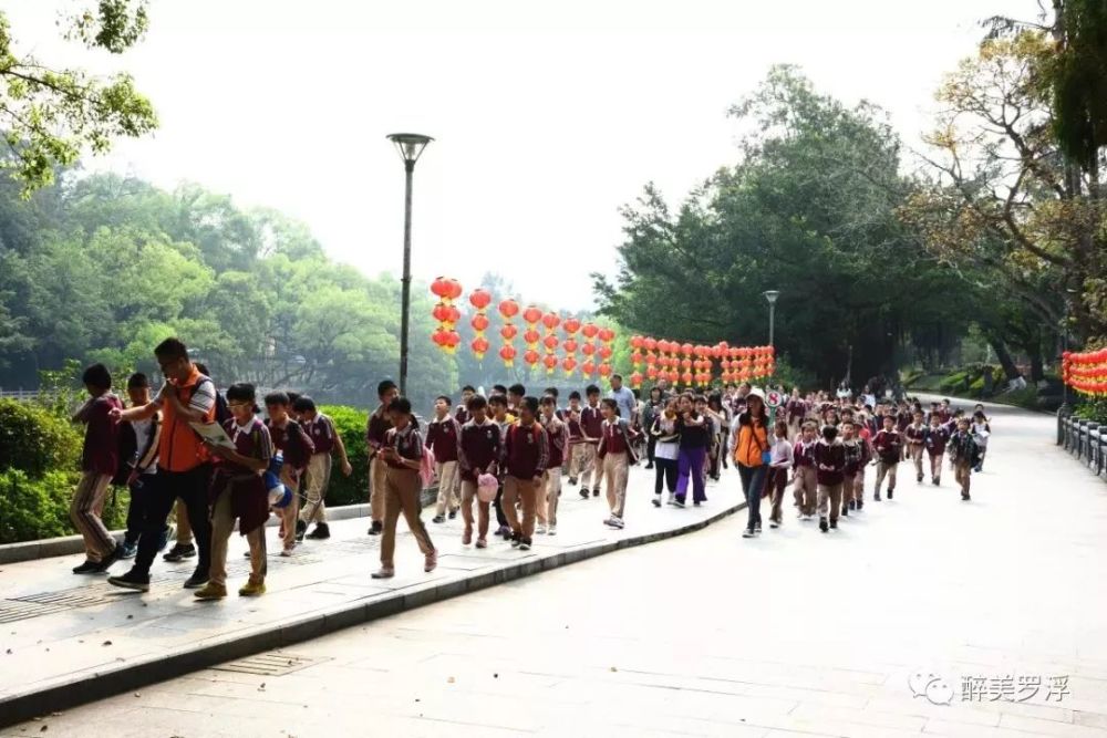 罗浮山:中医药文化研学旅游深受孩子欢迎