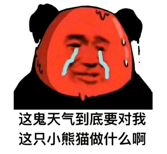 搞笑的表情包:这鬼天气到底要对我做什么