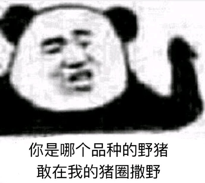 搞笑的表情包:别在骂我渣了