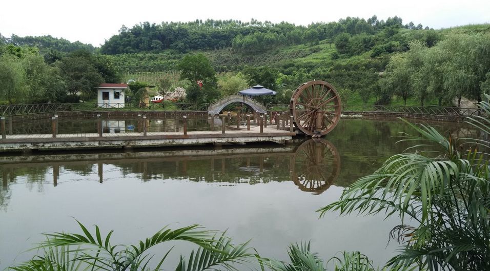 地址:璧山区八唐镇智灯村转山沟   耍事:集餐饮,休闲,娱乐,垂钓