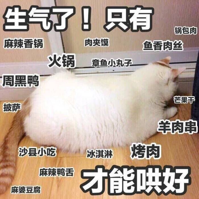 超隐蔽·吃醋·小奶猫表情包:不要你管,你先去陪她吧