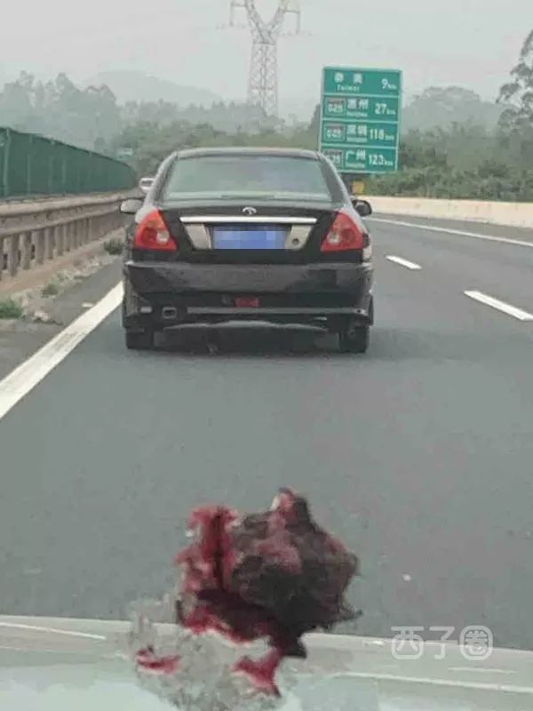 高速开车扔出足球违法吗，高速开车扔出足球违法吗