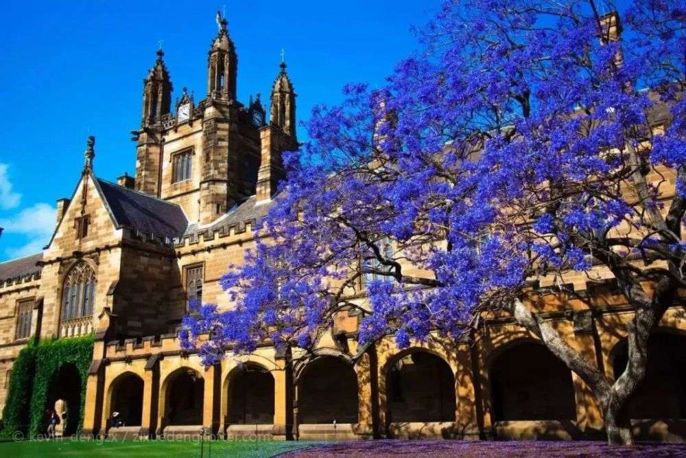 悉尼大学世界排名_悉尼大学