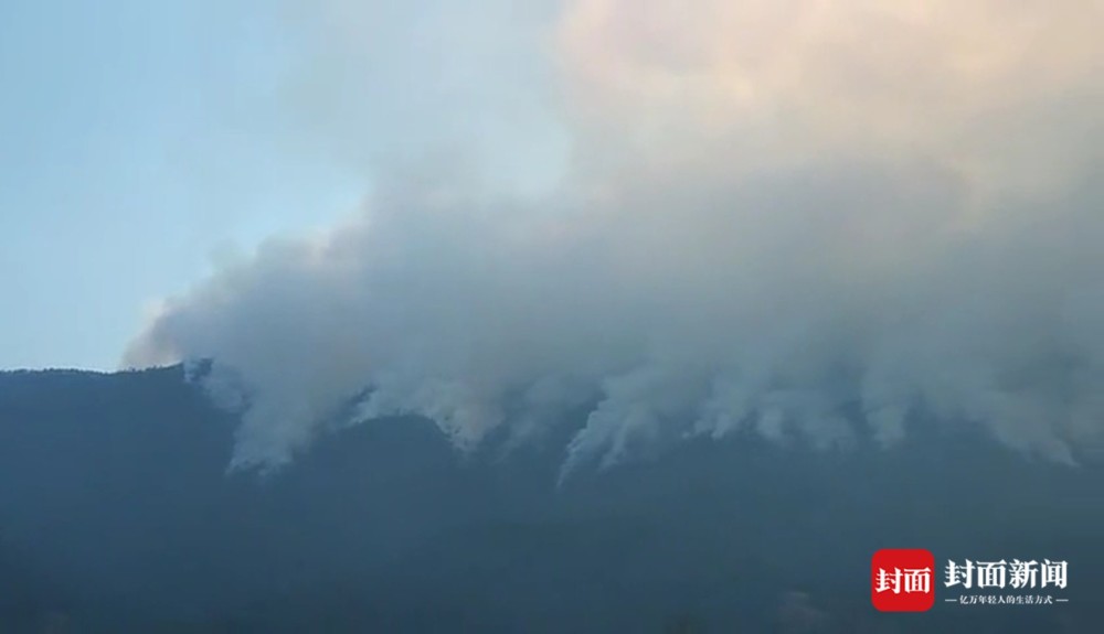 视频解读:为何凉山森林火灾频发?为何扑救难度