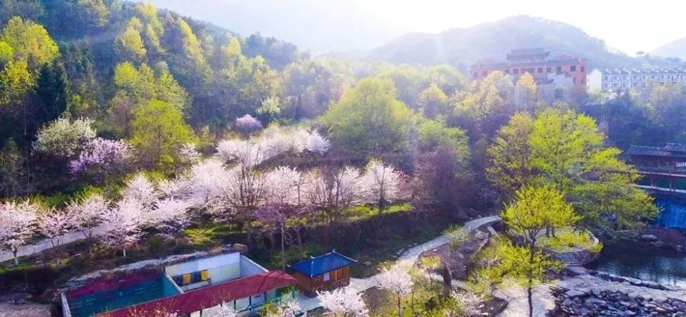 黄陂区,木兰草原风景区,花木兰,武汉,云雾山,清凉寨