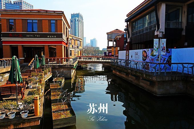莱雅琴好学的曲谱