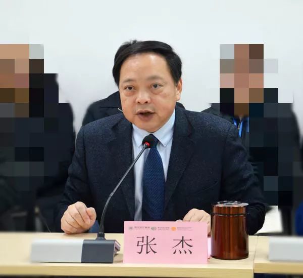 湖北理工学院副院长张杰被查