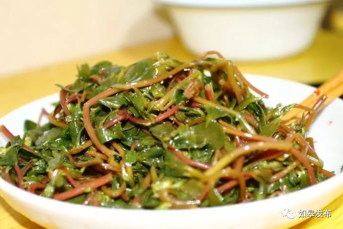 如皋,野菜,荠菜,焯水,荞麦面,蒲公英,食材,春卷皮,凉拌马齿苋,酱油
