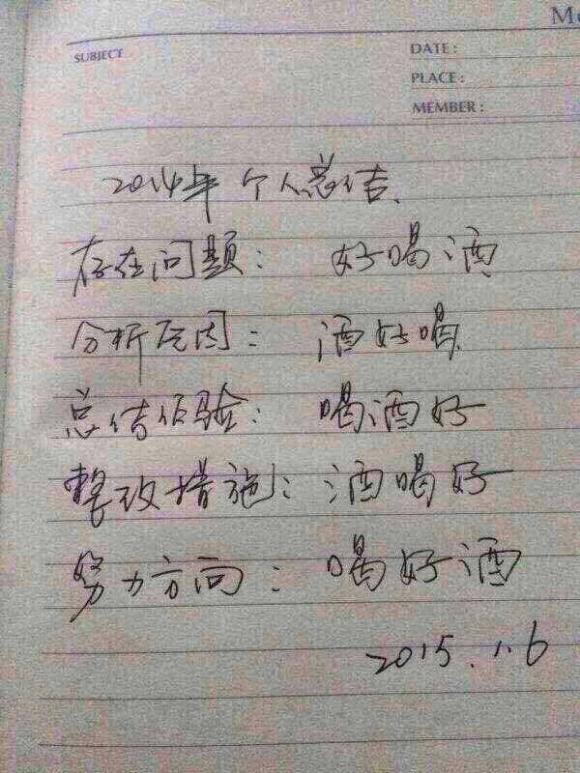 搞笑图片:简洁霸气的年终总结